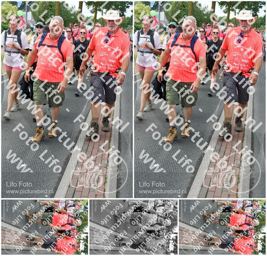 Evenement foto: Nijmeegse Vierdaagse 680