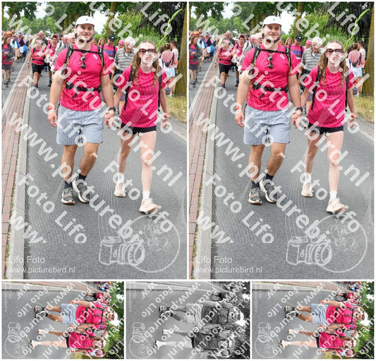 Evenement foto: Nijmeegse Vierdaagse 680