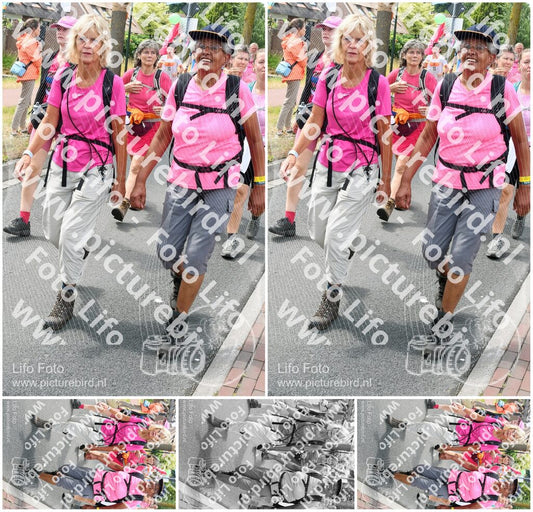 Evenement foto: Nijmeegse Vierdaagse 680