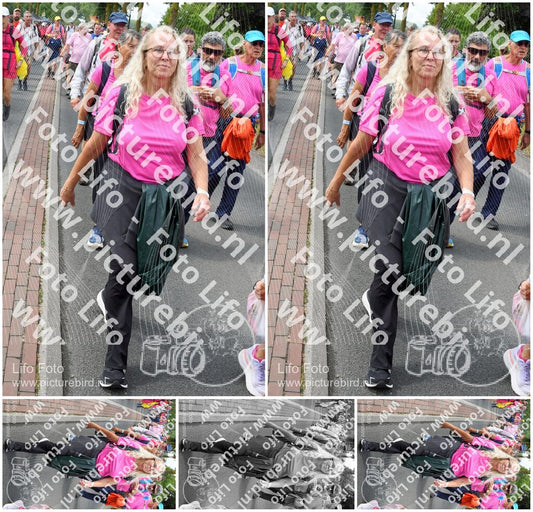 Evenement foto: Nijmeegse Vierdaagse 680