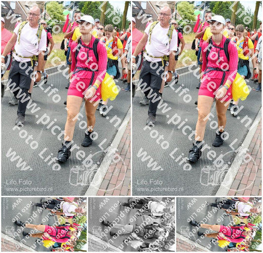 Evenement foto: Nijmeegse Vierdaagse 680