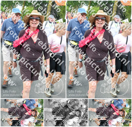Evenement foto: Nijmeegse Vierdaagse 680
