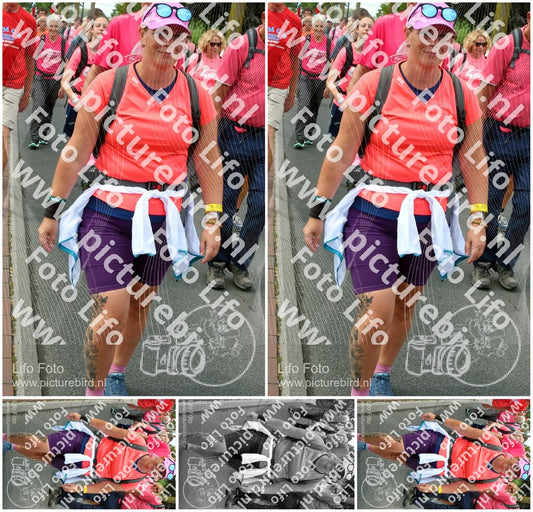 Evenement foto: Nijmeegse Vierdaagse 680