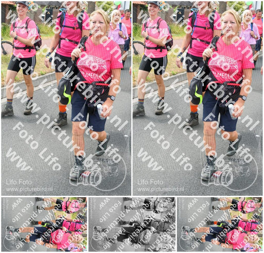 Evenement foto: Nijmeegse Vierdaagse 680