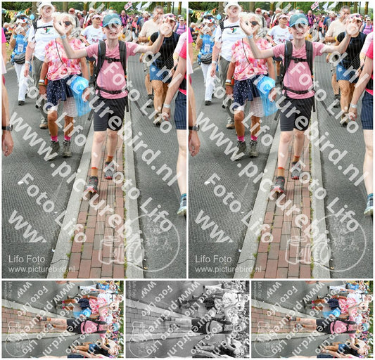 Evenement foto: Nijmeegse Vierdaagse 680