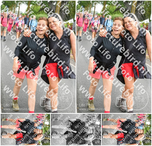 Evenement foto: Nijmeegse Vierdaagse 679