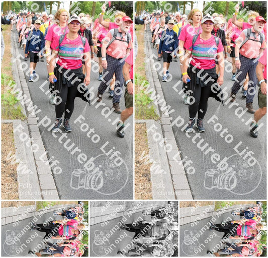 Evenement foto: Nijmeegse Vierdaagse 679