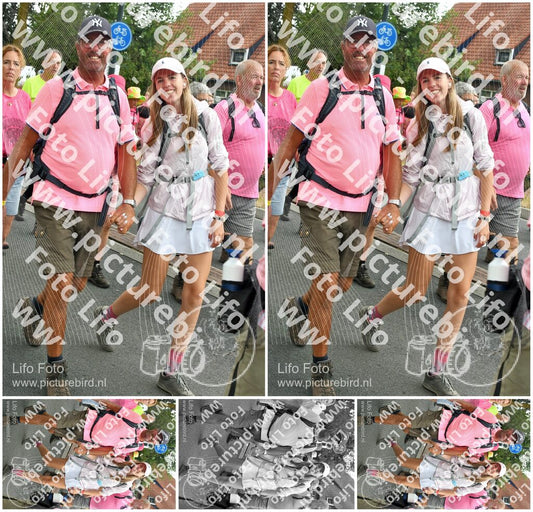 Evenement foto: Nijmeegse Vierdaagse 679