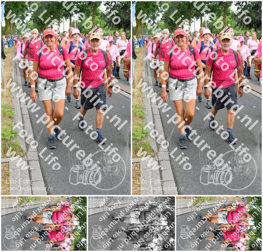 Evenement foto: Nijmeegse Vierdaagse 679