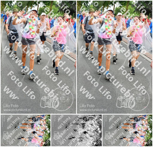 Evenement foto: Nijmeegse Vierdaagse 679