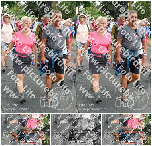 Evenement foto: Nijmeegse Vierdaagse 679