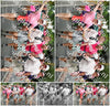Evenement foto: Nijmeegse Vierdaagse 679