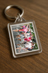 Evenement foto: Nijmeegse Vierdaagse 679