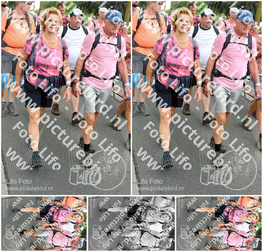 Evenement foto: Nijmeegse Vierdaagse 679