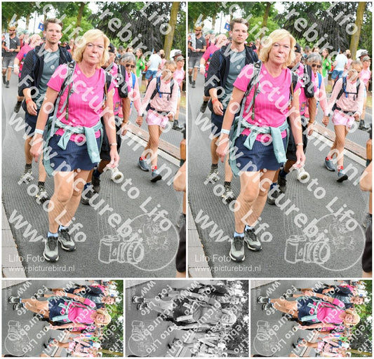 Evenement foto: Nijmeegse Vierdaagse 679