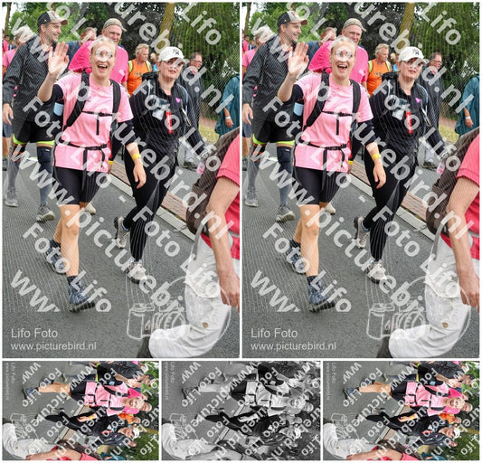 Evenement foto: Nijmeegse Vierdaagse 679