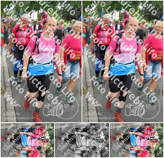 Evenement foto: Nijmeegse Vierdaagse 679