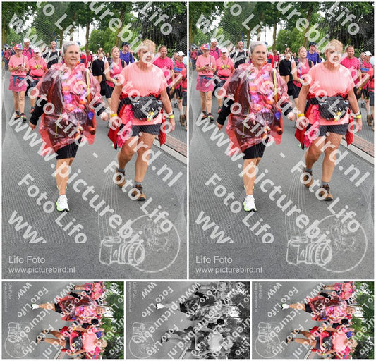 Evenement foto: Nijmeegse Vierdaagse 679