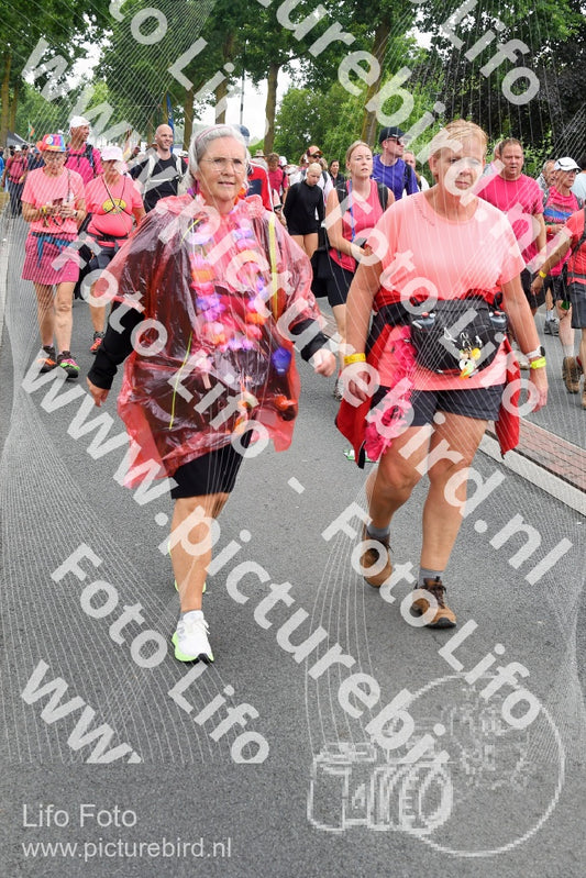 Evenement foto: Nijmeegse Vierdaagse 679