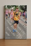 Evenement foto: Nijmeegse Vierdaagse 679