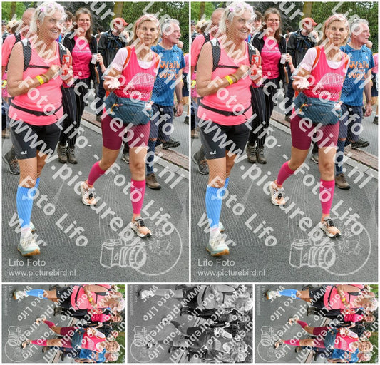 Evenement foto: Nijmeegse Vierdaagse 679