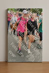 Evenement foto: Nijmeegse Vierdaagse 679