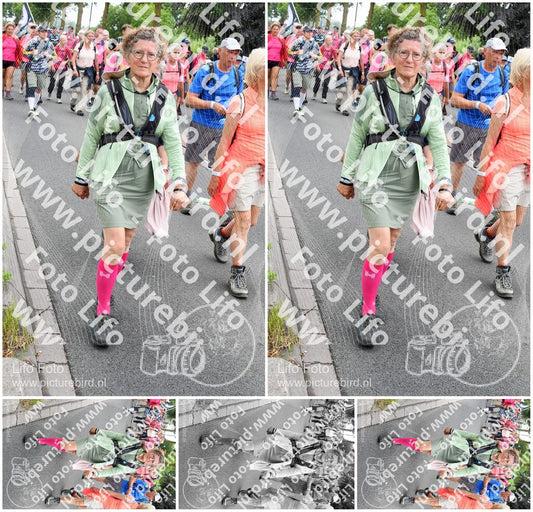 Evenement foto: Nijmeegse Vierdaagse 679
