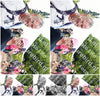 Evenement foto: Nijmeegse Vierdaagse 679