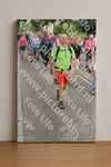 Evenement foto: Nijmeegse Vierdaagse 679