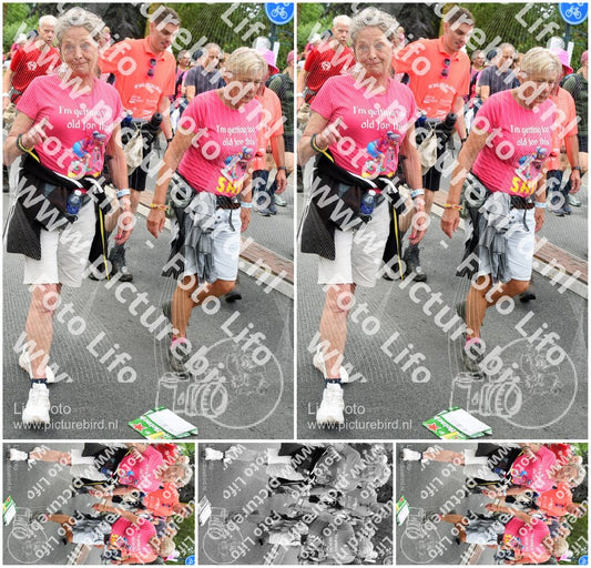 Evenement foto: Nijmeegse Vierdaagse 679