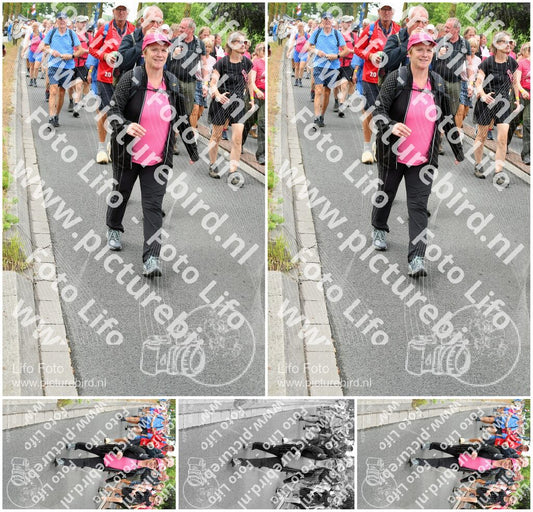 Evenement foto: Nijmeegse Vierdaagse 679