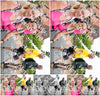 Evenement foto: Nijmeegse Vierdaagse 679