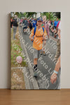 Evenement foto: Nijmeegse Vierdaagse 679