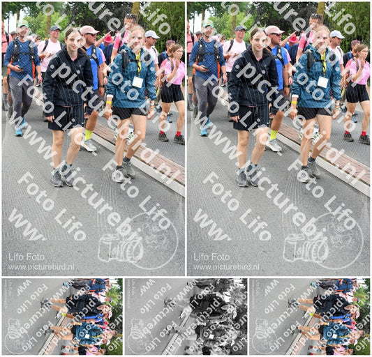 Evenement foto: Nijmeegse Vierdaagse 679