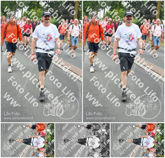Evenement foto: Nijmeegse Vierdaagse 679