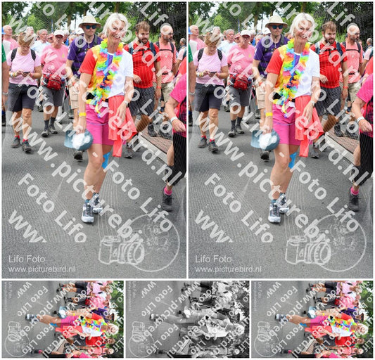Evenement foto: Nijmeegse Vierdaagse 679