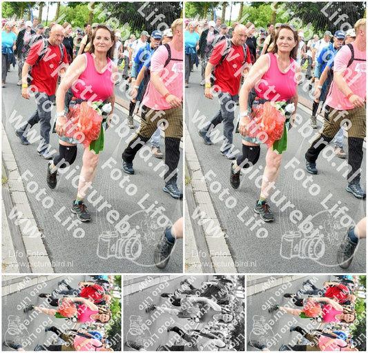 Evenement foto: Nijmeegse Vierdaagse 679