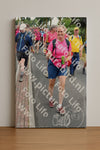 Evenement foto: Nijmeegse Vierdaagse 678