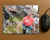 Evenement foto: Nijmeegse Vierdaagse 678