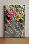 Evenement foto: Nijmeegse Vierdaagse 678