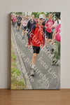 Evenement foto: Nijmeegse Vierdaagse 678