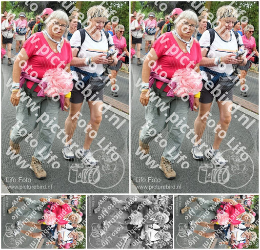 Evenement foto: Nijmeegse Vierdaagse 678