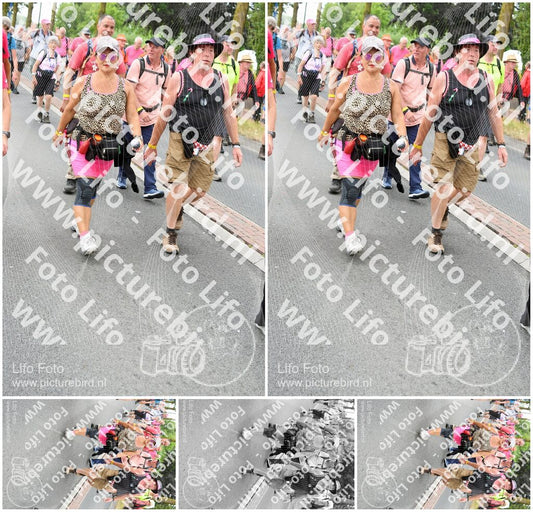 Evenement foto: Nijmeegse Vierdaagse 678