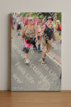Evenement foto: Nijmeegse Vierdaagse 678