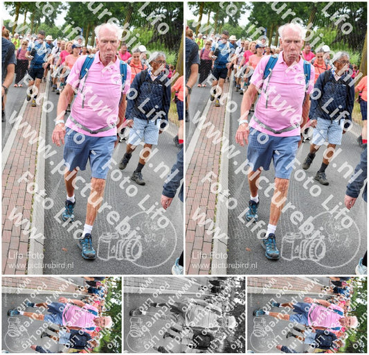 Evenement foto: Nijmeegse Vierdaagse 678