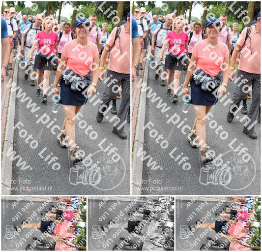 Evenement foto: Nijmeegse Vierdaagse 678