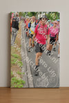 Evenement foto: Nijmeegse Vierdaagse 678