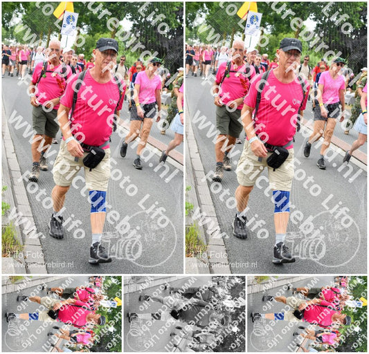 Evenement foto: Nijmeegse Vierdaagse 678
