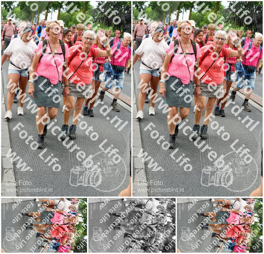 Evenement foto: Nijmeegse Vierdaagse 678