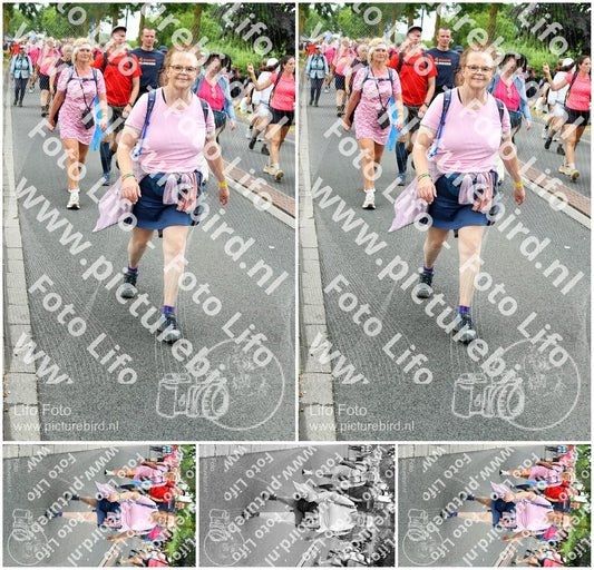 Evenement foto: Nijmeegse Vierdaagse 678